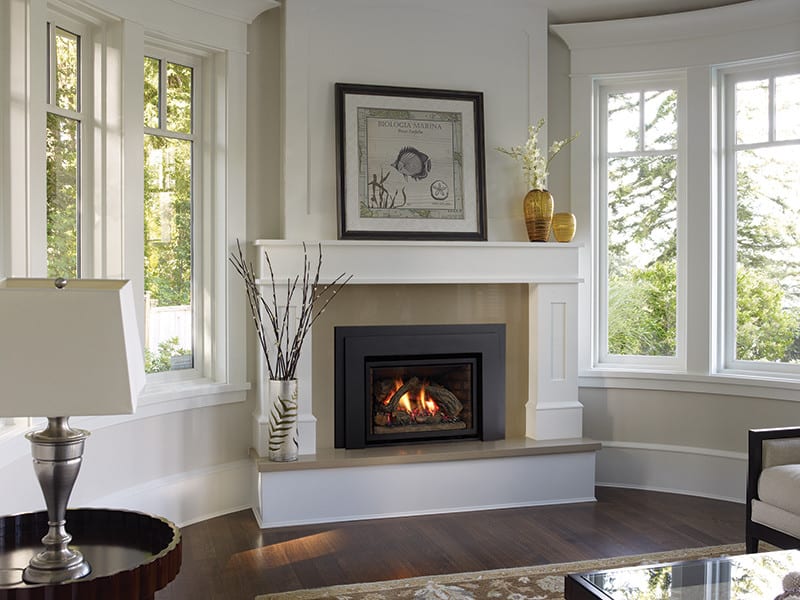 Regency Liberty L390E Gas Fireplace Insert