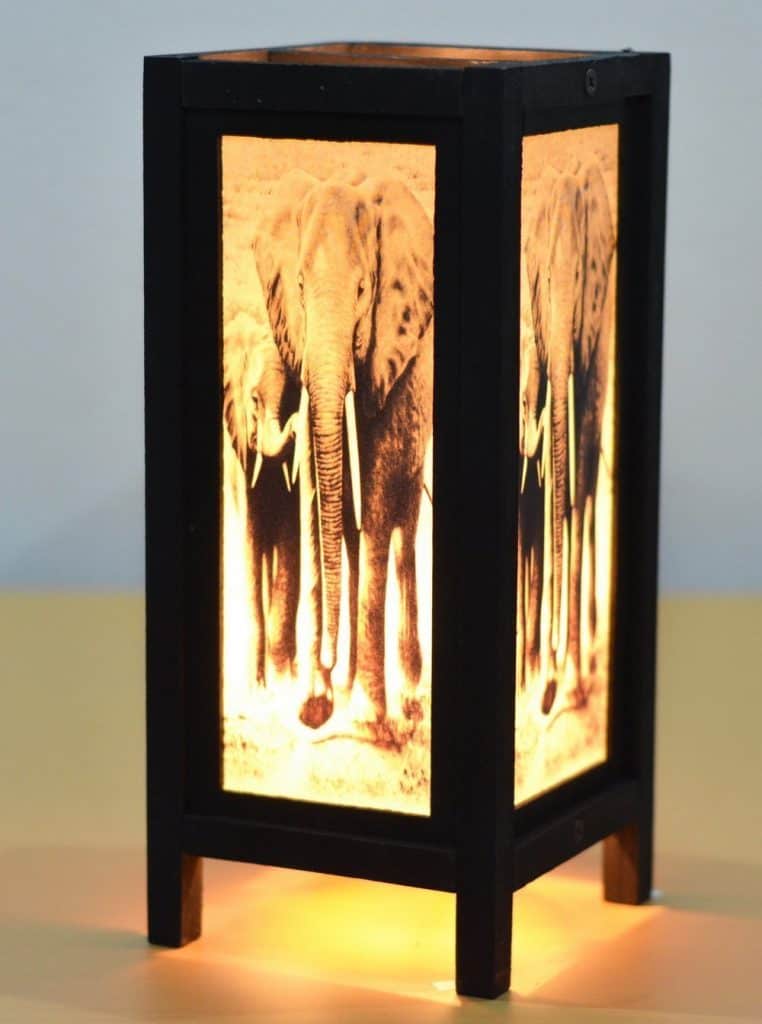 28 African Safari Decor Ideas (2021 Adventurous Decorating Guide)