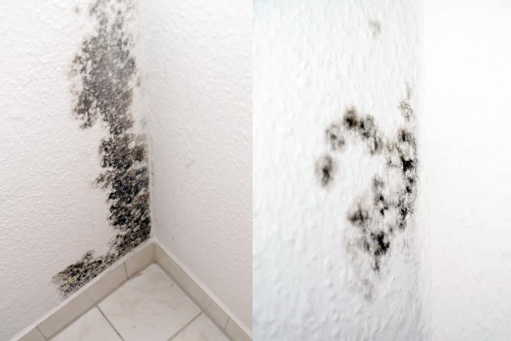 Can You Paint Over Mold in The Bathroom