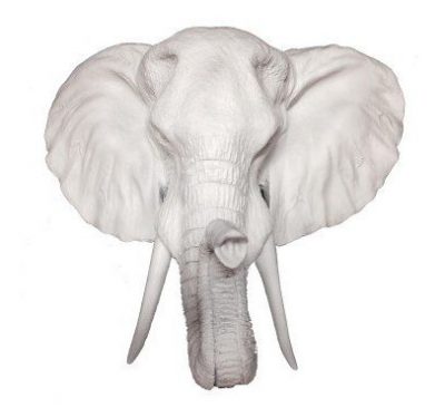 Fake White Elephant HeadFake White Elephant Head