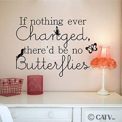 If Nothing Ever Changed, There'd Be No Butterflies vinyl quote sticker