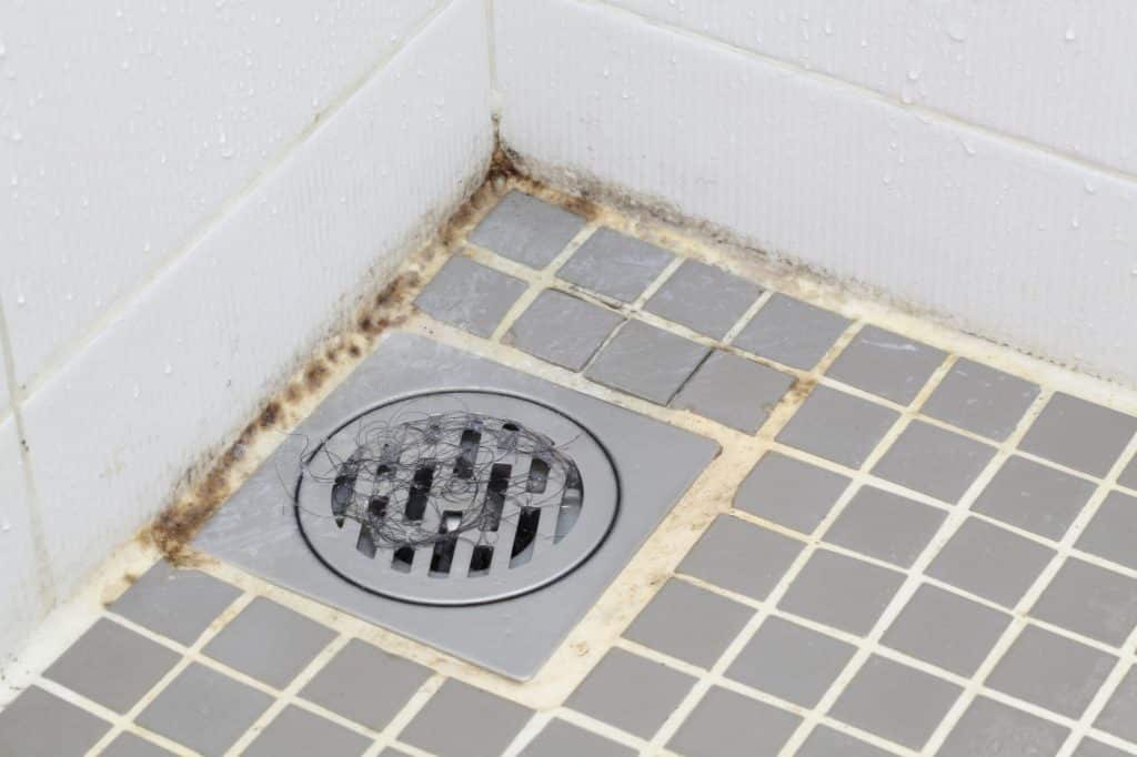 Is Shower Mold Dangerous