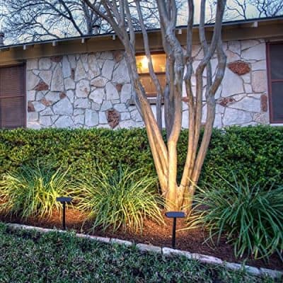 Lighting your Plants and Trees - landscape lighting ideas