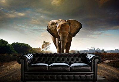 Lone Elephant Wall Mural Covering Removable Interior Decor