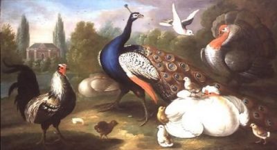 Marmaduke Craddock A Peacock, Turkey, Hen, Cockerel and Dove by a River 134x72