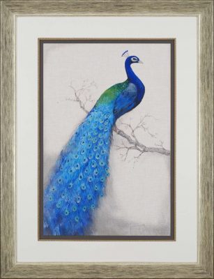 Paragon Peacock Blue I by O'Toole Traditional - 52 X 40