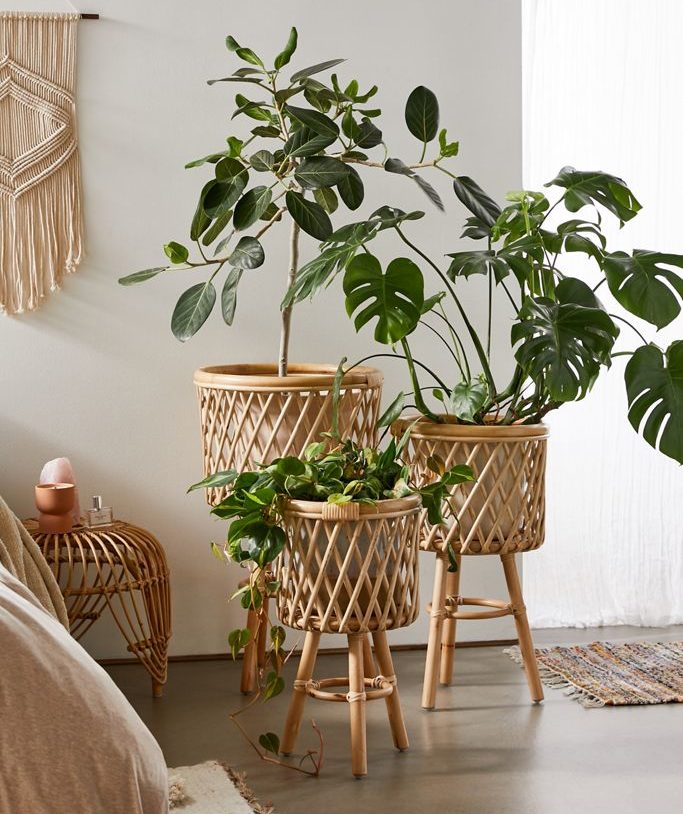 Bedroom with Rattan Standing Planter 20+ Aesthetic Bedrooms