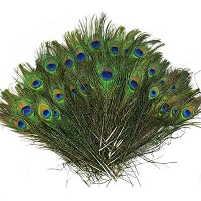 Vivian Beautiful Natural Peacock Feathers