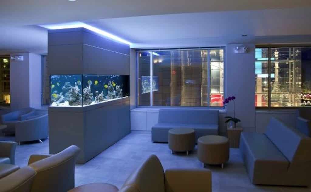 aquarium divider