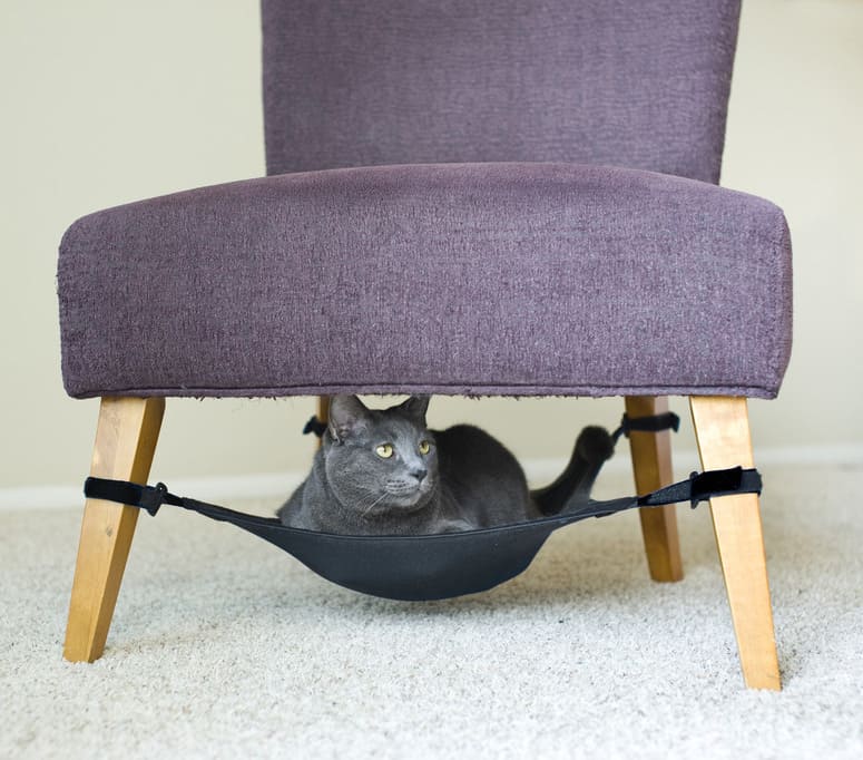 cat chairs