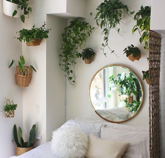 Bedroom with more plants