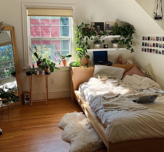 plants add visual interest and beauty 20+ Aesthetic Bedrooms