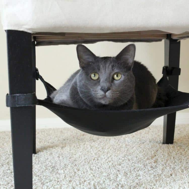 Under Chair Cat Hammock